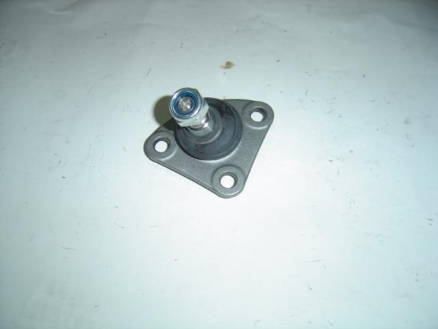 foto de LEC8822